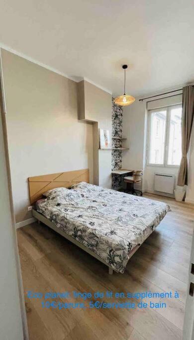 Appartement Renove Proche Du Parc De La Tete D'Or Villeurbanne Ngoại thất bức ảnh