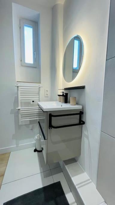 Appartement Renove Proche Du Parc De La Tete D'Or Villeurbanne Ngoại thất bức ảnh
