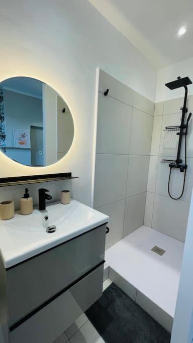 Appartement Renove Proche Du Parc De La Tete D'Or Villeurbanne Ngoại thất bức ảnh